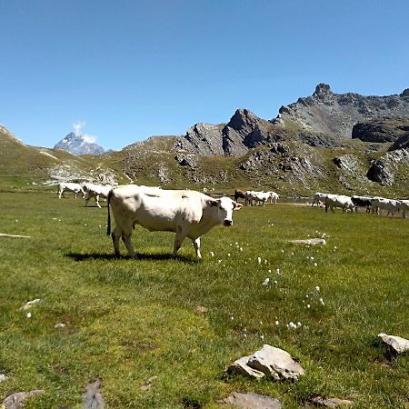 Agriturismo Ciambun Sampeire Luaran gambar
