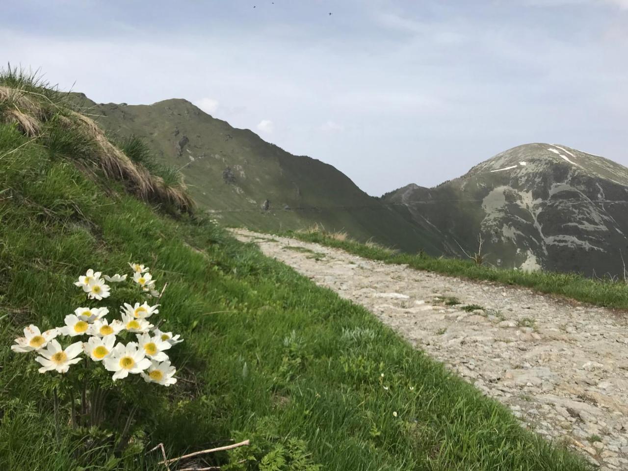 Agriturismo Ciambun Sampeire Luaran gambar