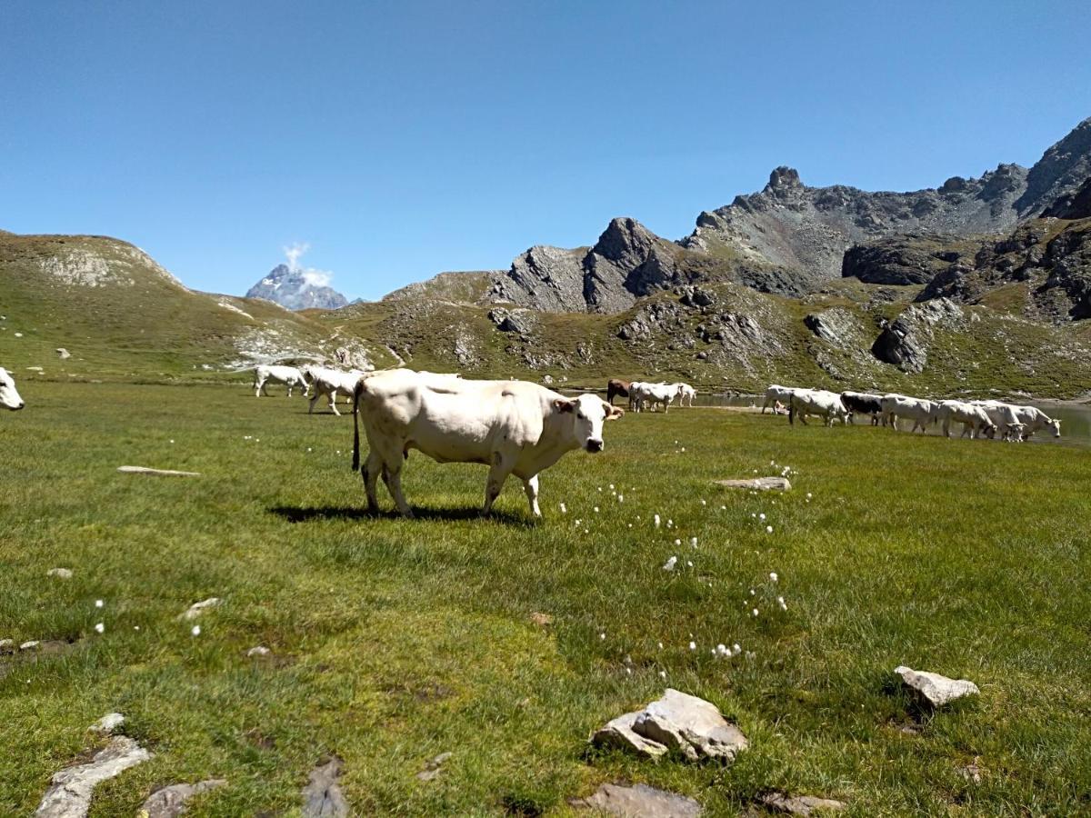 Agriturismo Ciambun Sampeire Luaran gambar